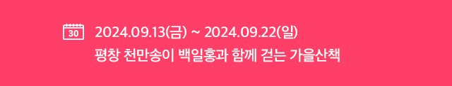 2023 평창 백일홍축제 기간 백일홍의 꽃말은 행복, 인연 입니다.
