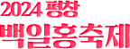 백일홍