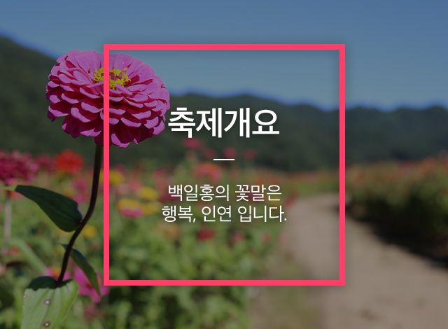 축제개요